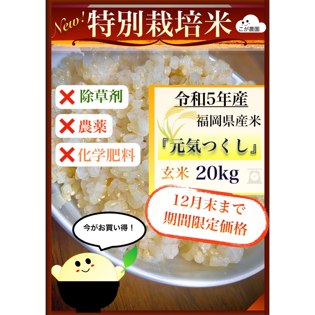 無農薬米準自然米　福岡県産「元気つくし」令和５年産　玄米20kg  発芽玄米におすすめ