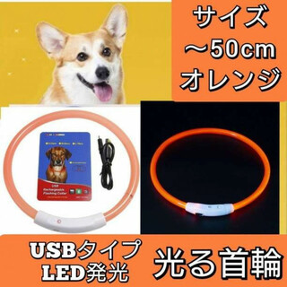 オレンジ　光る首輪　散歩　LEDライト　USB充電　М　50㎝　点滅　犬　ペット(犬)