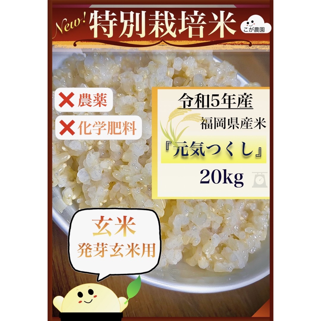 ゆきち様専用　準自然米　福岡県産「元気つくし」玄米20kgのサムネイル