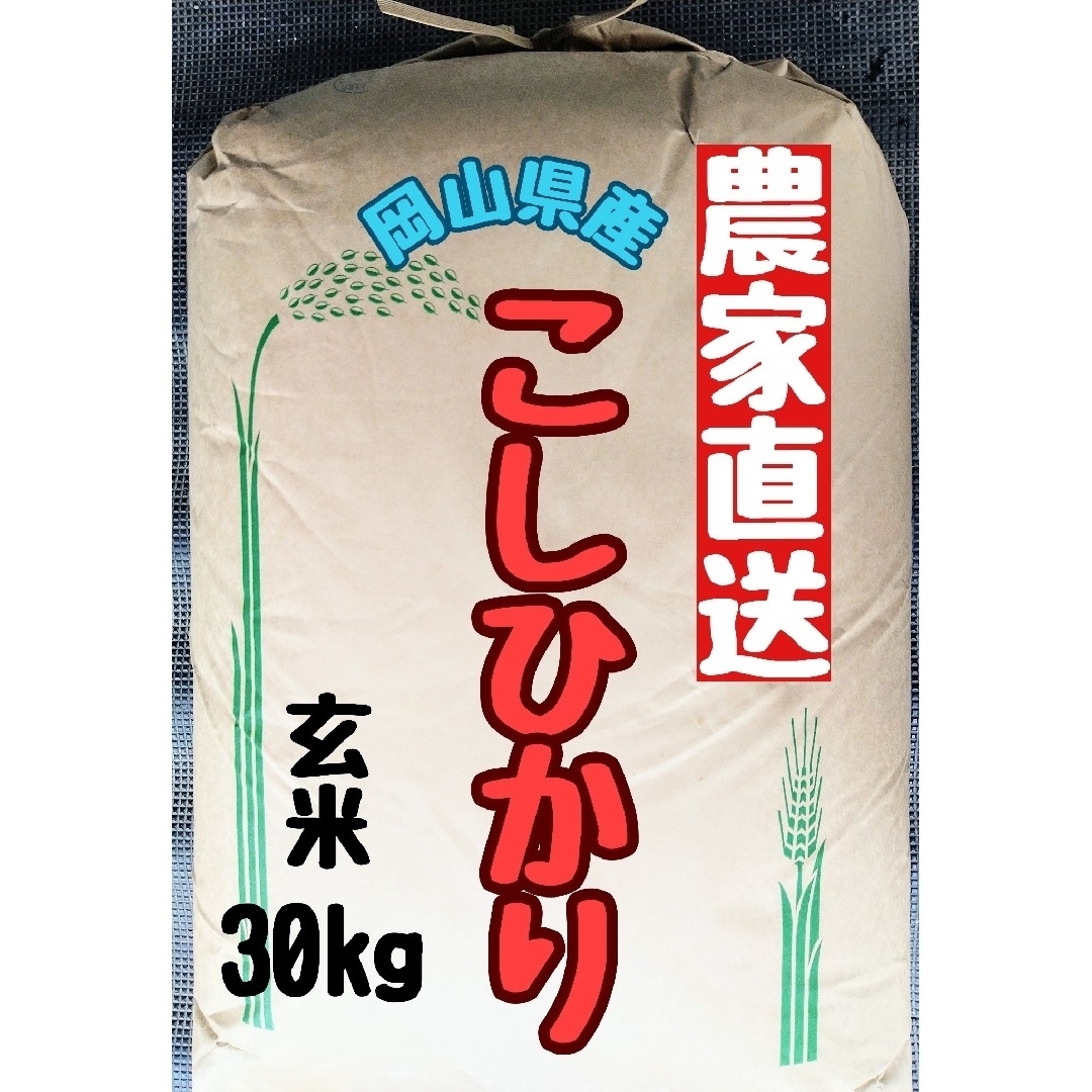 岡山県産こしひかり玄米30kg(令和5年産)　米/穀物