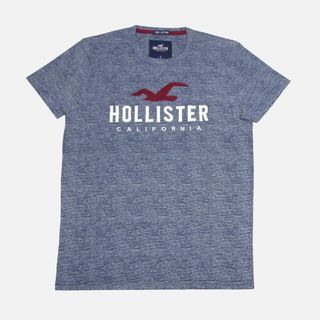 ホリスター(Hollister)の★新品★ホリスター★アップリケロゴマルチボーダーTシャツ (Navy/M)(Tシャツ/カットソー(半袖/袖なし))