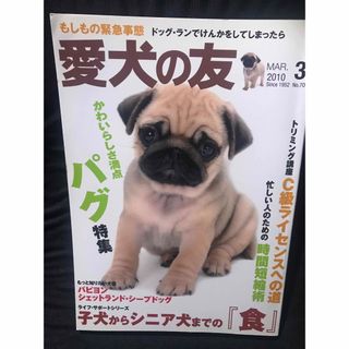 愛犬の友2010年3月(趣味/スポーツ/実用)