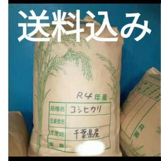 ★ろば様専用★　令和4年　千葉県産　コシヒカリ　玄米　２０キロ(米/穀物)