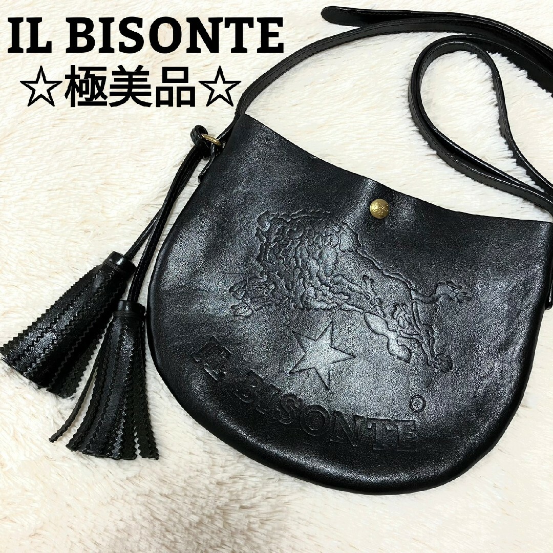 IL BISONTE イルビゾンテ オールレザー サコッシュ ショルダーバッグ