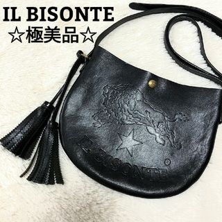 極美品☆IL BISONTE☆イルビゾンテ タッセル ショルダーバッグ 本