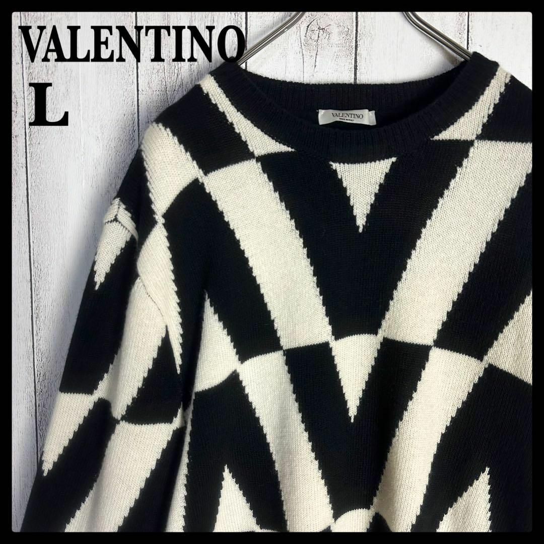 VALENTINO - 【希少】ヴァレンティノ ニット セーター ゼブラ
