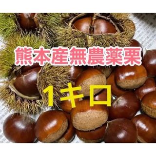 熊本産農薬不使用生栗1キロ(フルーツ)