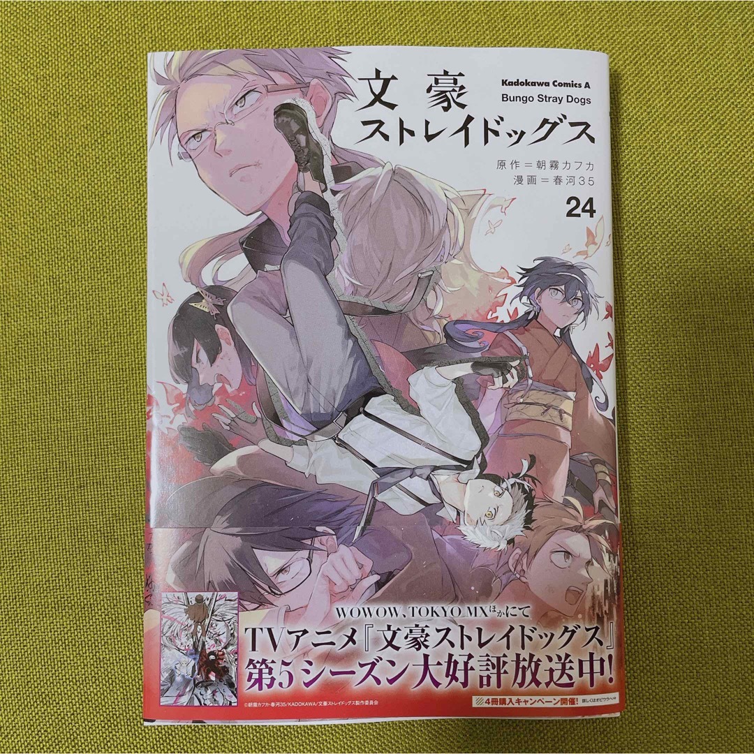 角川書店(カドカワショテン)の文豪ストレイドッグス ２４ エンタメ/ホビーの漫画(青年漫画)の商品写真