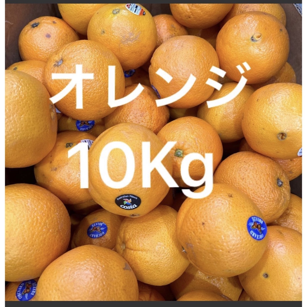 オーストラリア産訳ありオレンジ約10キロ 食品/飲料/酒の食品(フルーツ)の商品写真