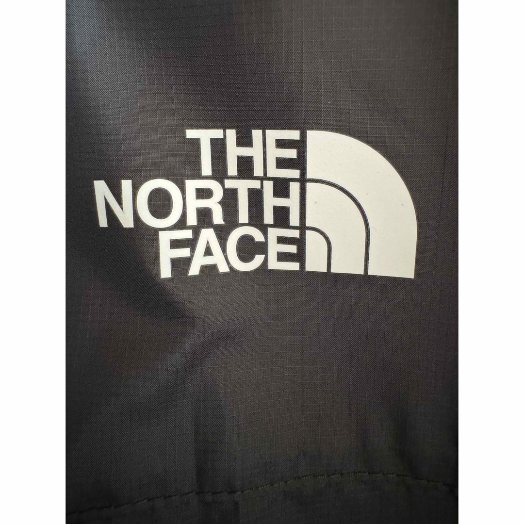 THE NORTH FACE(ザノースフェイス)のThe North Face 1985 Mountain フーデッドジャケット メンズのジャケット/アウター(マウンテンパーカー)の商品写真