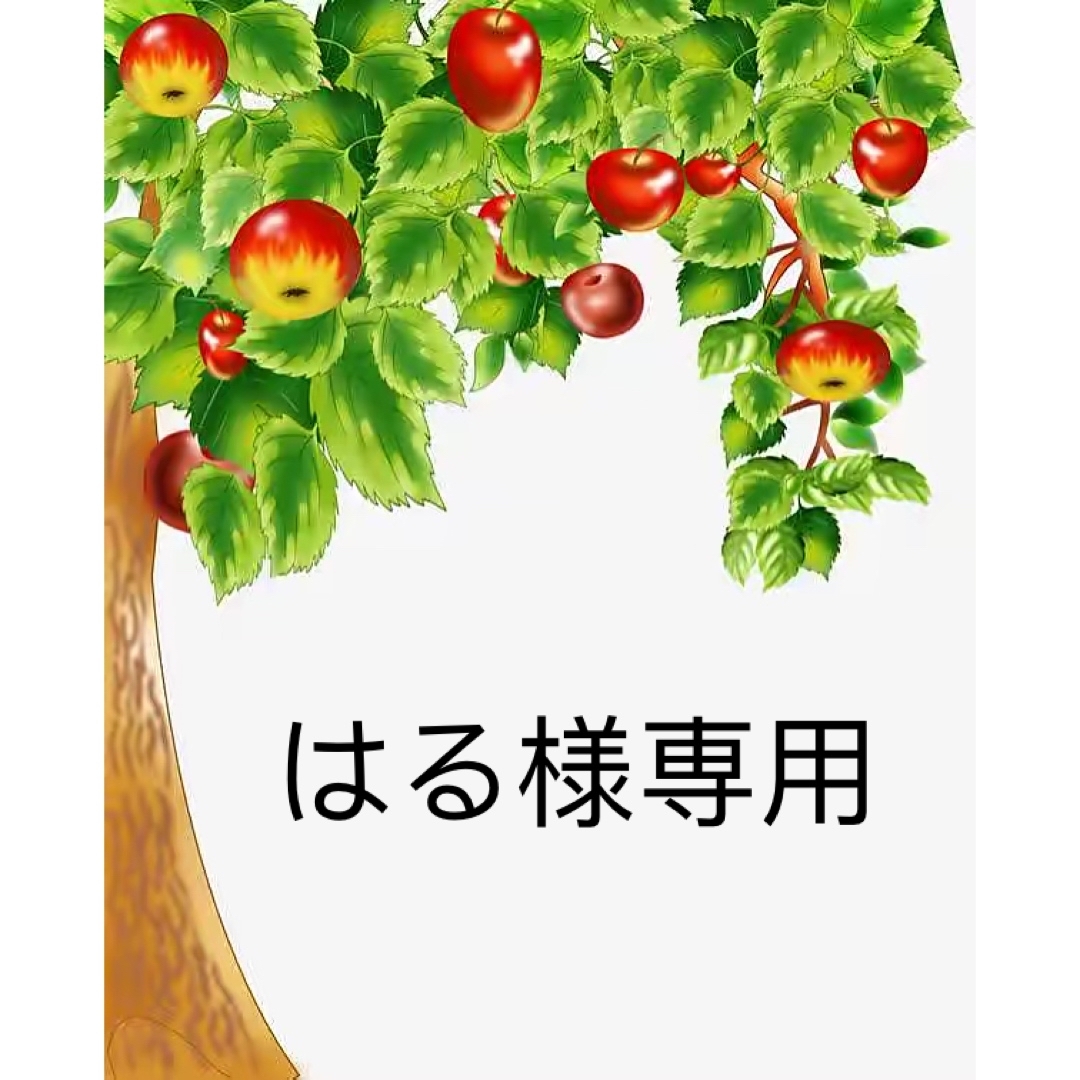 はる　Stage3-5 & マイヤペンセット