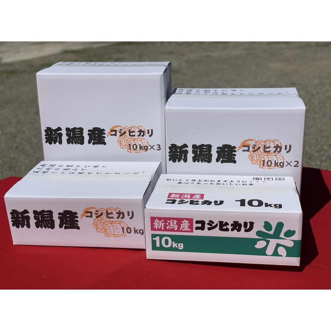 新米・令和2年産新潟コシヒカリ　白米5kg×2個★農家直送★色彩選別済03