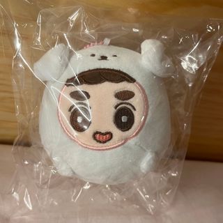 EXO 10cm ぬいぐるみ チャニョル D.O チェンなし