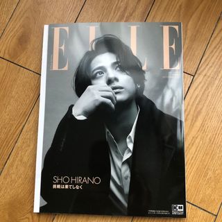 増刊 ELLE JAPON (エル・ジャポン) 特別版 2023年 11月号(その他)