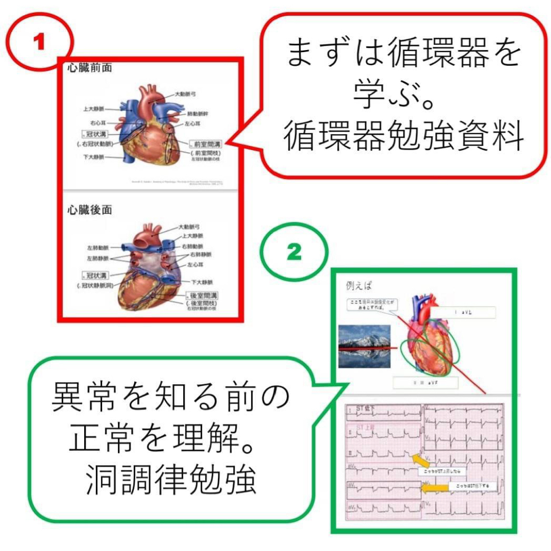 心電図検定対策7点セット 1