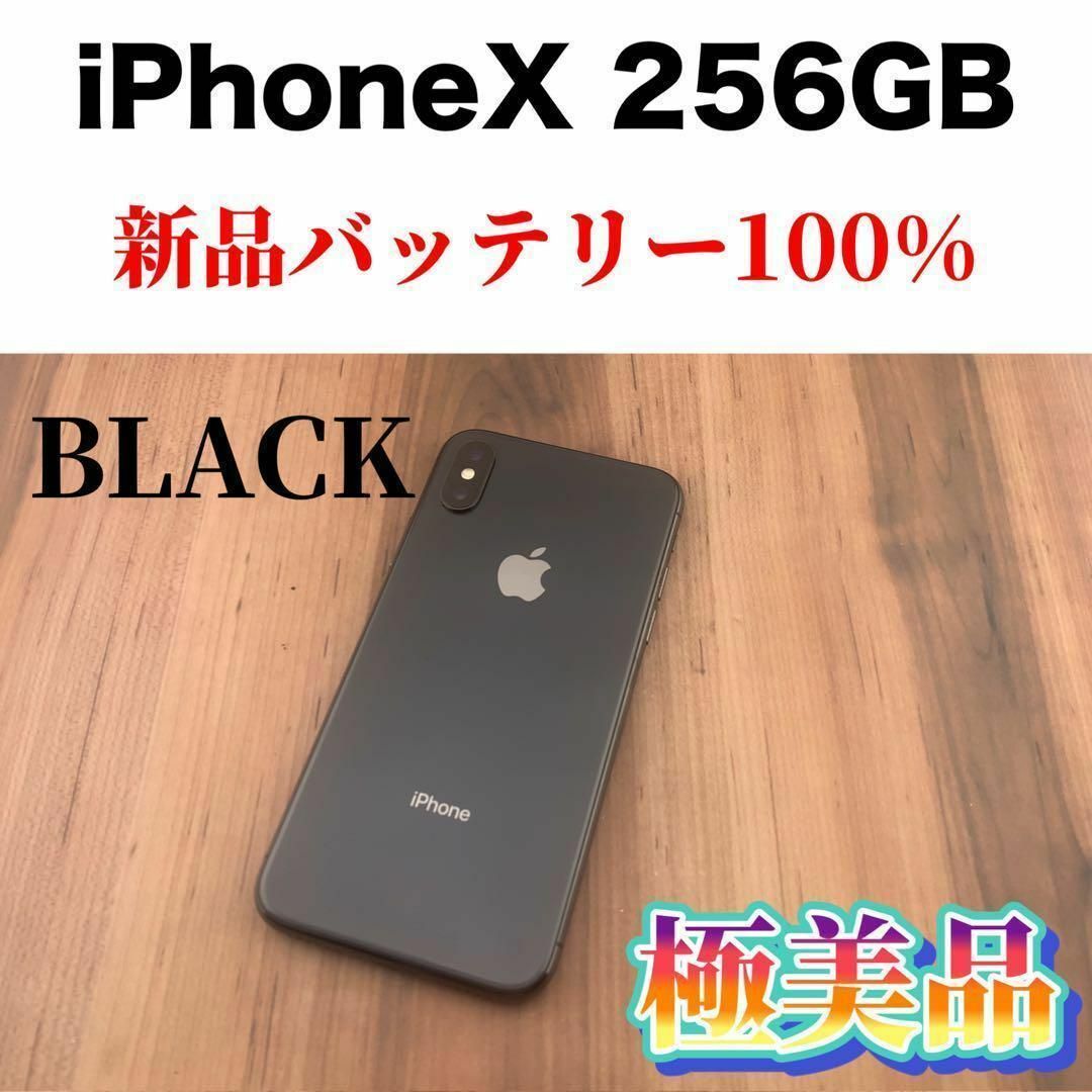 iPhone X Space Gray 256GB SIMフリー (171) - スマートフォン本体