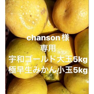 chanson様　専用　宇和ゴールド5kg 極早生みかん5kg(フルーツ)