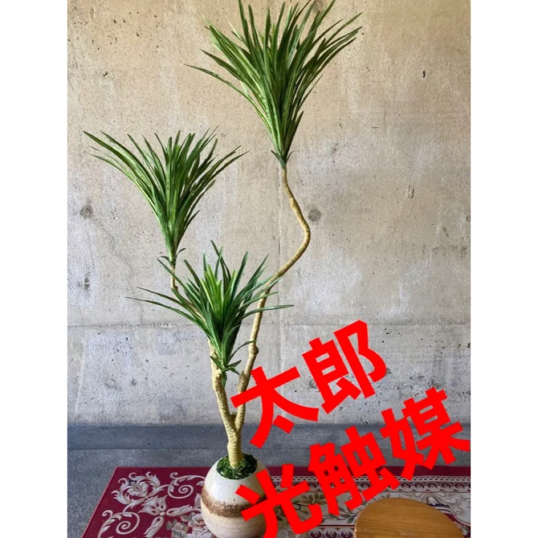 光触媒　人工観葉植物　ウォールグリーン　フェイクグリーン　コンシンネ150