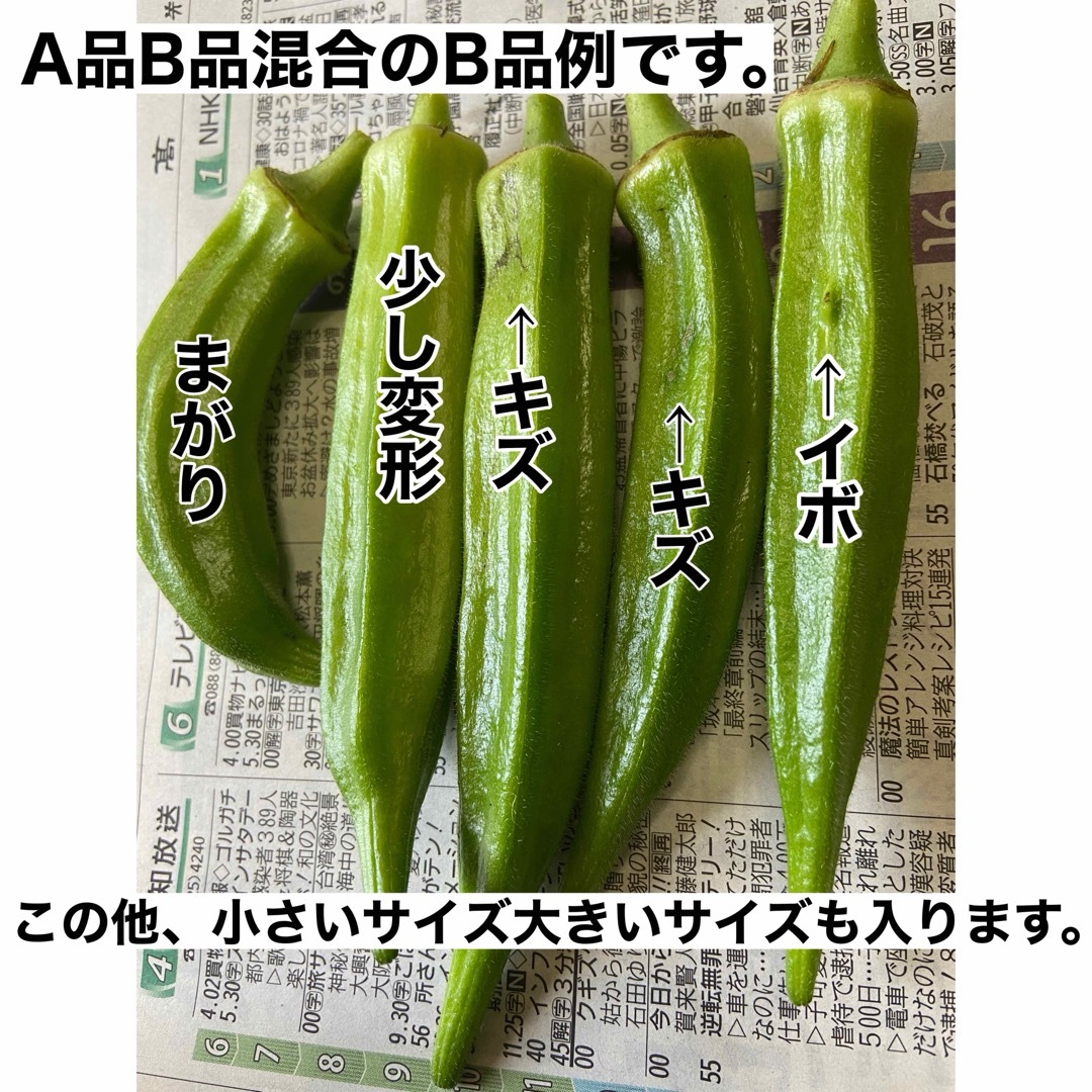 高知県産オクラ　新鮮おくら　即購入OK 産地直送　野菜50woj 食品/飲料/酒の食品(野菜)の商品写真