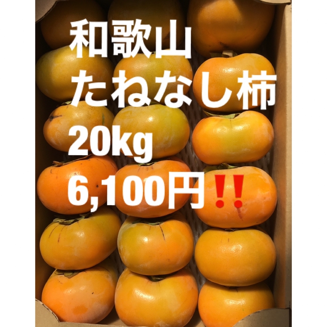 和歌山たねなし柿 ご家庭用 - フルーツ