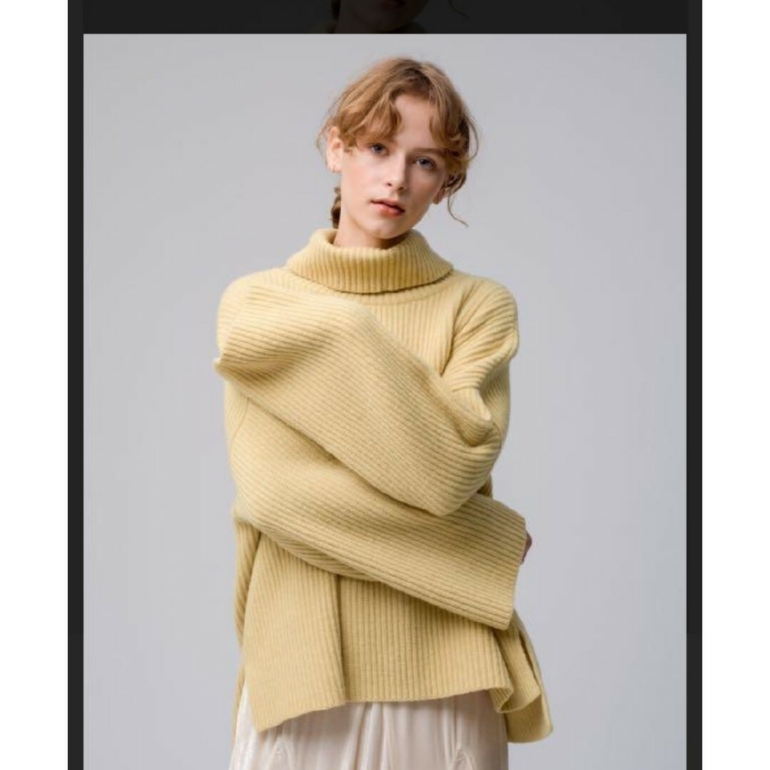DEMYLEE デミリー ニット ロンハーマン フレアスリーブタートル