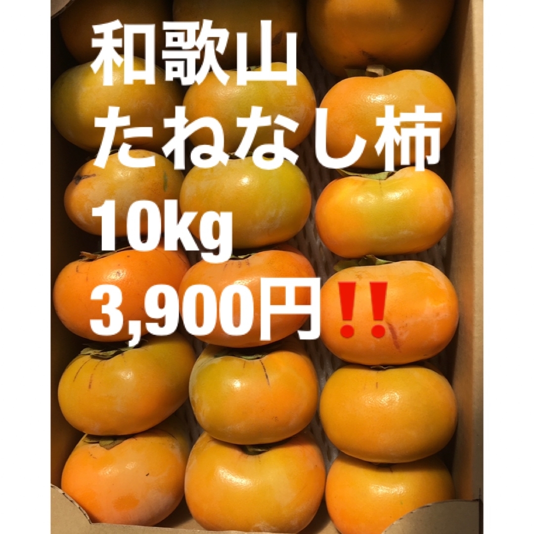 【毎年大人気!】たねなし柿 10kg ご家庭用