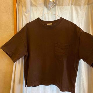 ユニクロ(UNIQLO)のUNIQLO ブラウン　Tシャツ(Tシャツ(半袖/袖なし))