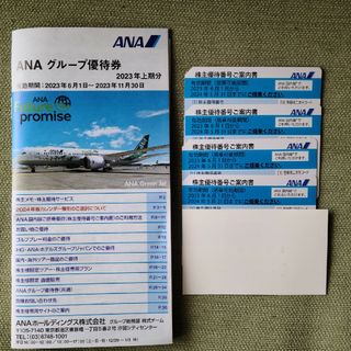 エーエヌエー(ゼンニッポンクウユ)(ANA(全日本空輸))の全日空国内線　搭乗優待券(その他)