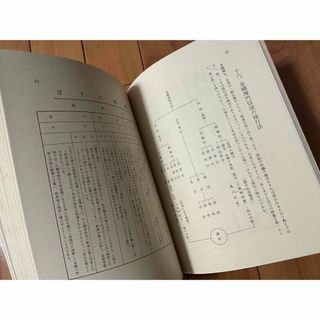 激レア 非売品 少林寺拳法教範(指導者専用 門外秘)宗道臣(1979年版)の