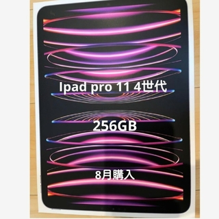 Apple - ipad pro 4世代 wifi 256GB