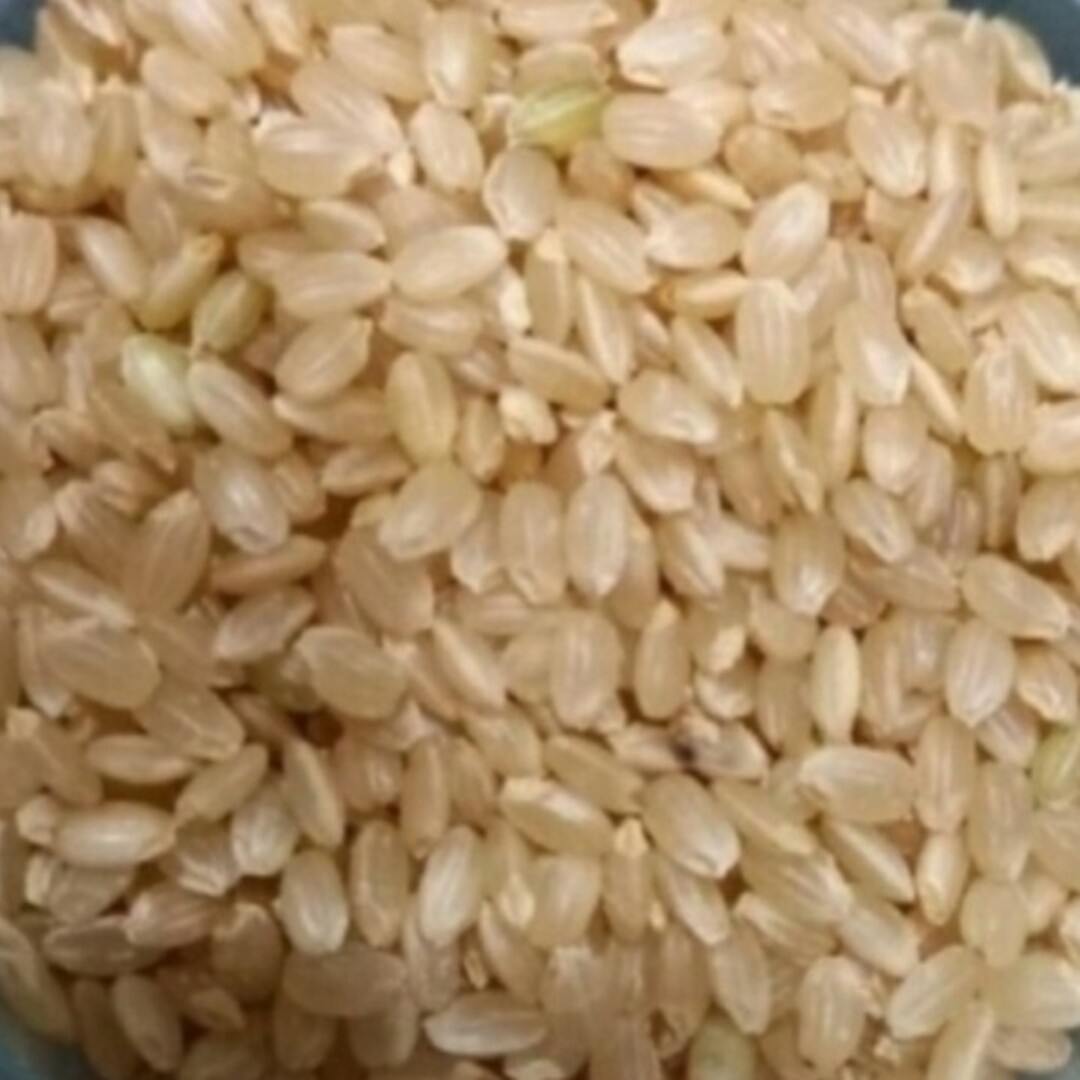 茨城県産コシヒカリ玄米30kg,,.　令和5年度　米/穀物
