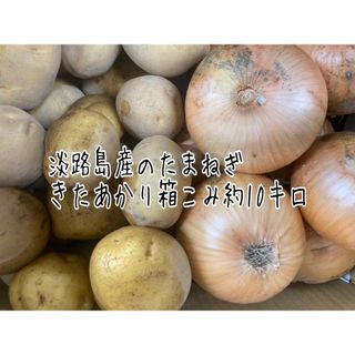 淡路島産玉ねぎときたあかり詰め合わせ(野菜)