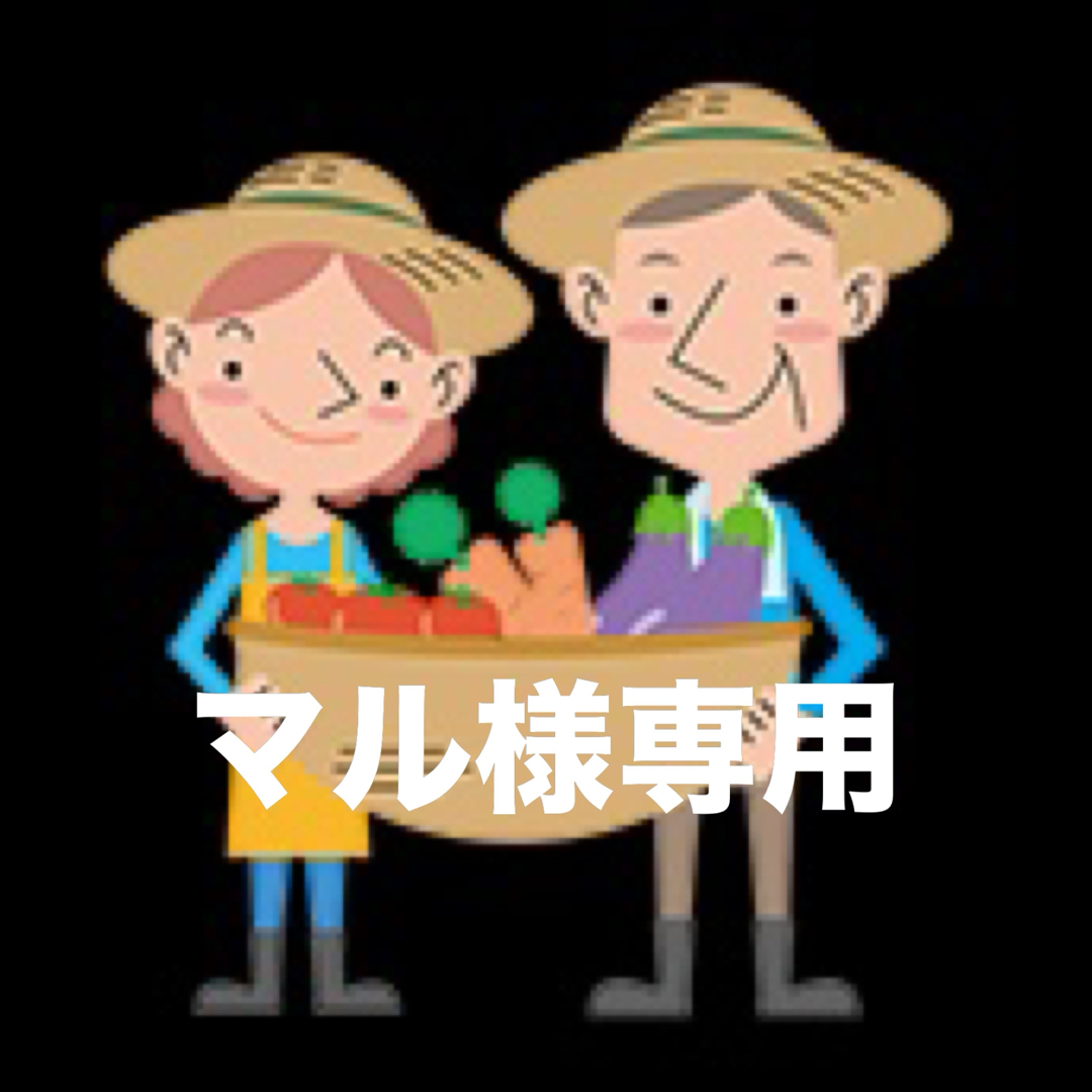 淡路島産新米 5年産 レンゲ米10kg キヌヒカリ 無洗米 ミネラル米 減農薬 食品/飲料/酒の食品(米/穀物)の商品写真