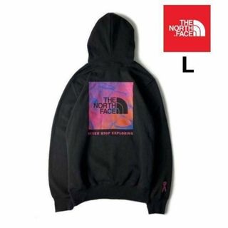 ザノースフェイス(THE NORTH FACE)のノースフェイス BOX NSE パーカー ボックスロゴ(L)黒181130(パーカー)