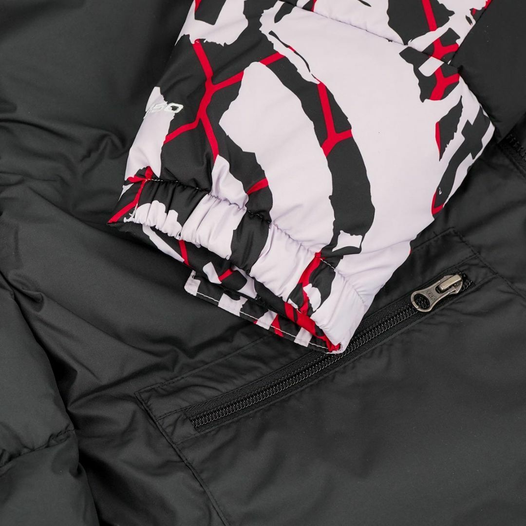 THE NORTH FACE - THE NORTH FACE ダウンジャケット NF0A5J1J PRINTED