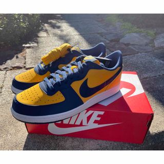 ナイキ(NIKE)のNIKE  ターミネーターLOW(スニーカー)