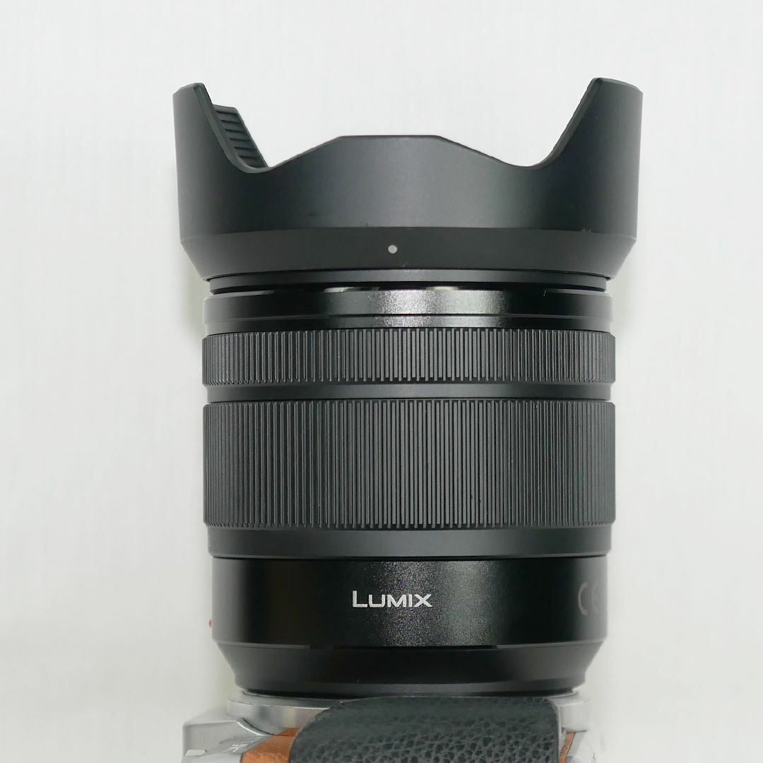 Panasonic Lumix 標準ズームレンズ H-FS12060