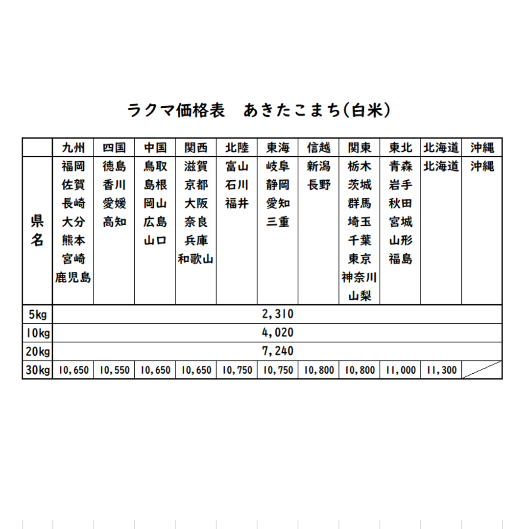 愛媛県産あきたこまち　お米　20㎏　米/穀物　令和5年　白米