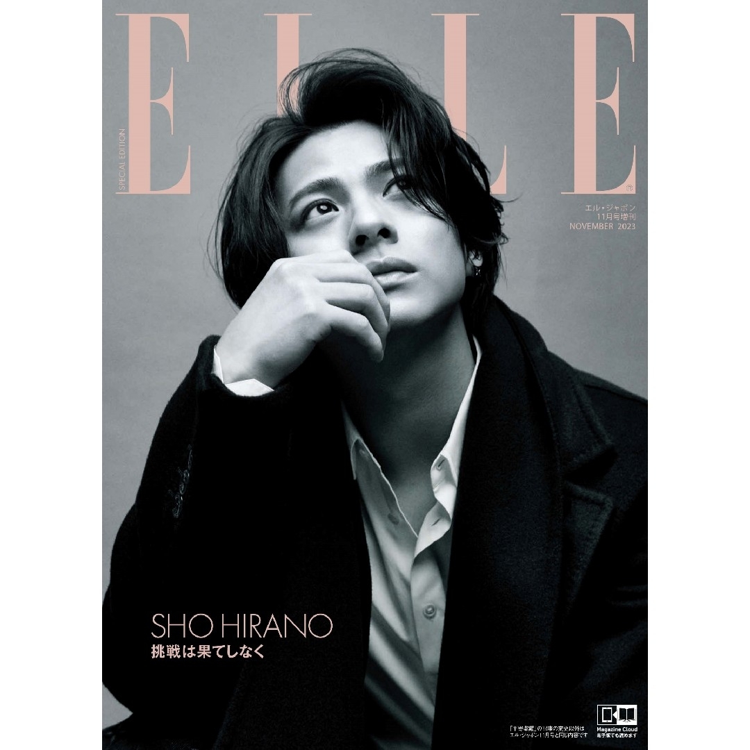 ELLE(エル)のエルジャポン 平野紫耀特別版 エンタメ/ホビーの雑誌(ファッション)の商品写真