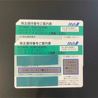 エーエヌエー(ゼンニッポンクウユ)(ANA(全日本空輸))のANA 全日空 株主優待券 2枚(その他)