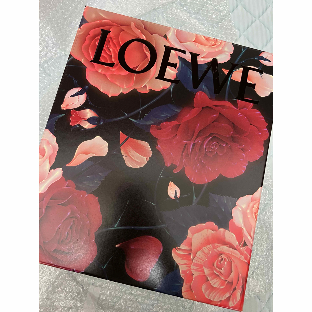 LOEWE ロエベ　ラフィア