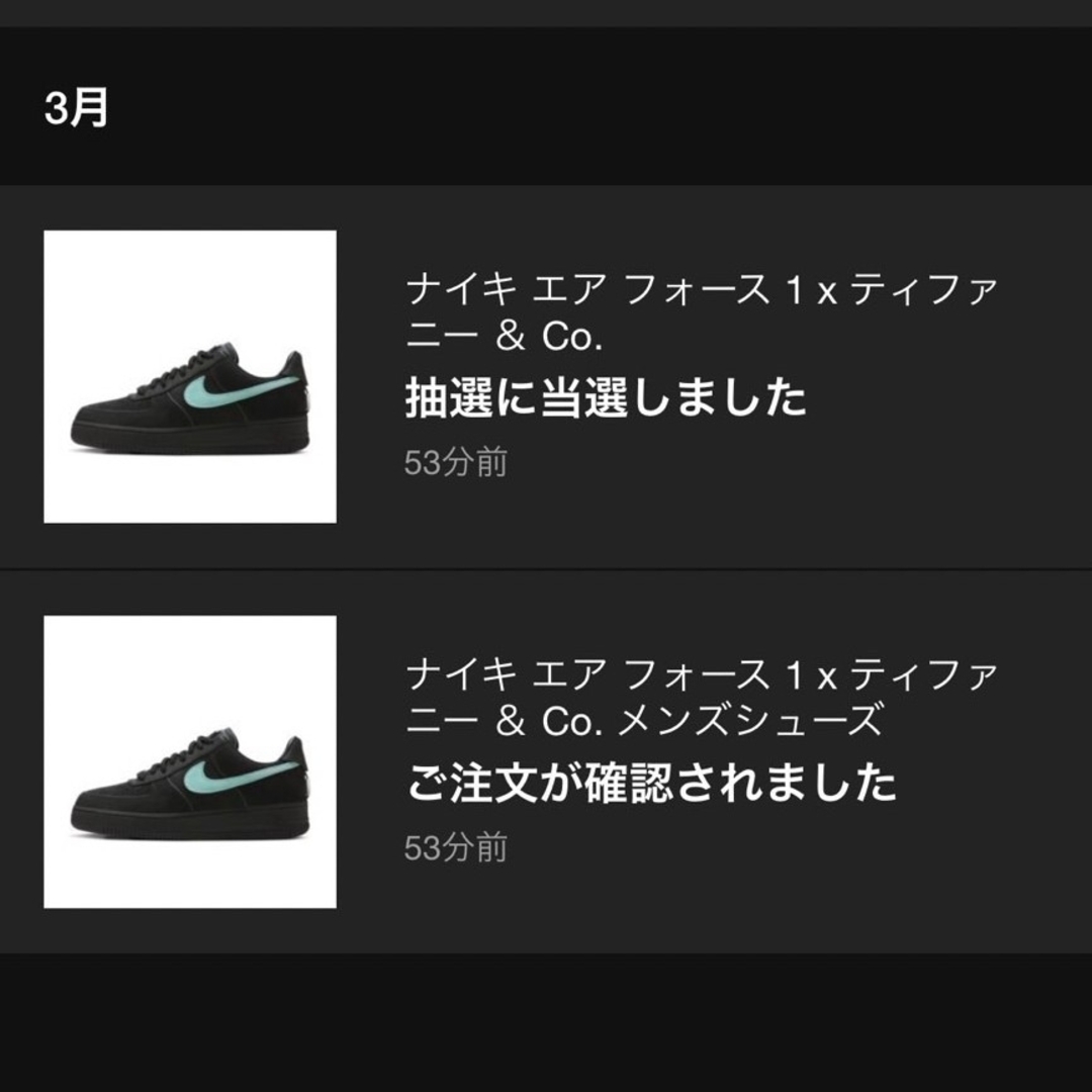 NIKE(ナイキ)のTiffany× Nike Air Force 1 Low "1837" メンズの靴/シューズ(スニーカー)の商品写真