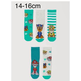 エイチアンドエム(H&M)の最終お値下げ！　新品 パウパトロール ソックス　靴下　5足セット 14-16cm(靴下/タイツ)