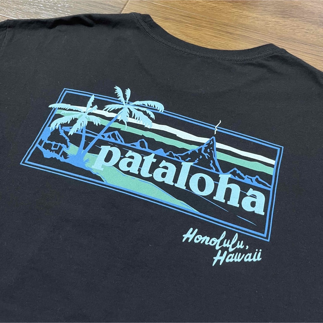 期間限定価格!新品 パタゴニア 限定 パタロハ Tシャツ L 希少バック