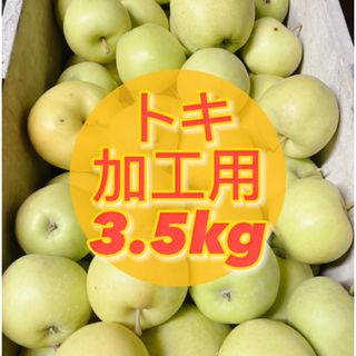 【産地直送】青森県産りんご  3.5kg(フルーツ)