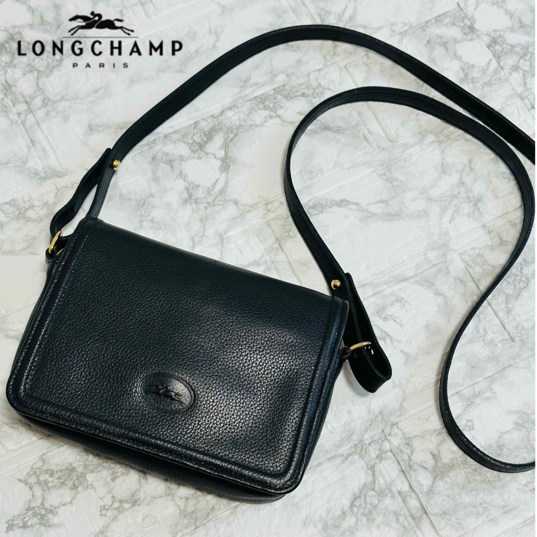 希少 Longchamp ロンシャン パイソン型押し レザー 高級 バッグ