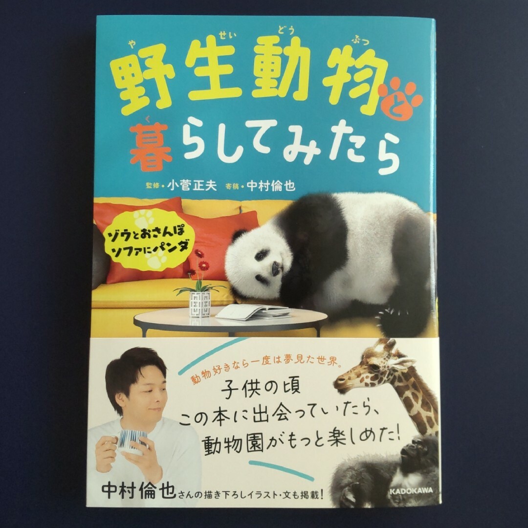 野生動物と暮らしてみたら ゾウとおさんぽソファにパンダ エンタメ/ホビーの本(絵本/児童書)の商品写真