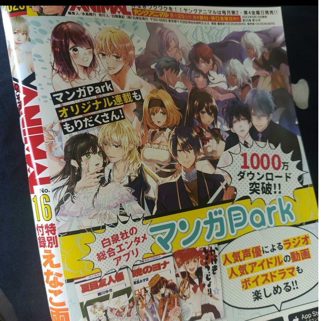 白泉社(ハクセンシャ)のえなこ  BIGポスター付   ヤングアニマル   16号   応募券無 エンタメ/ホビーの本(アート/エンタメ)の商品写真