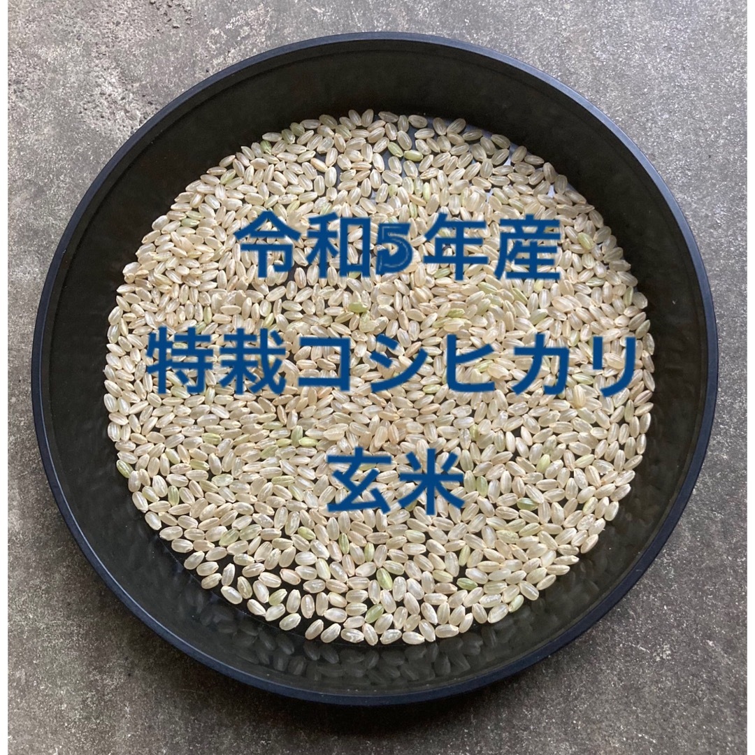 令和5年産コシヒカリ玄米30㎏　沖縄県の方-