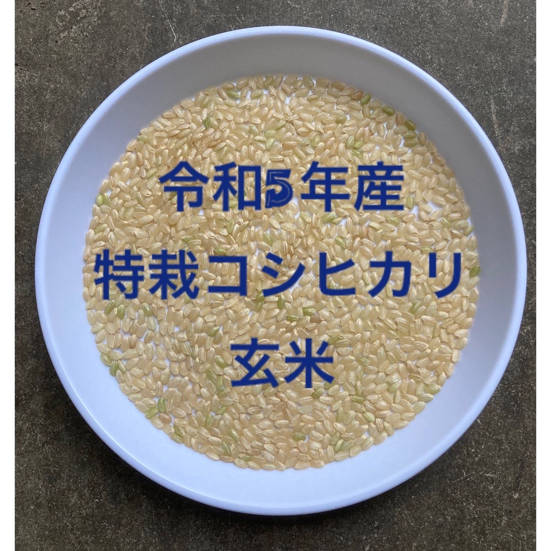 新米入荷！令和5年産「丹後産コシヒカリ」玄米30㎏　送料・標準精米無料サービス！-